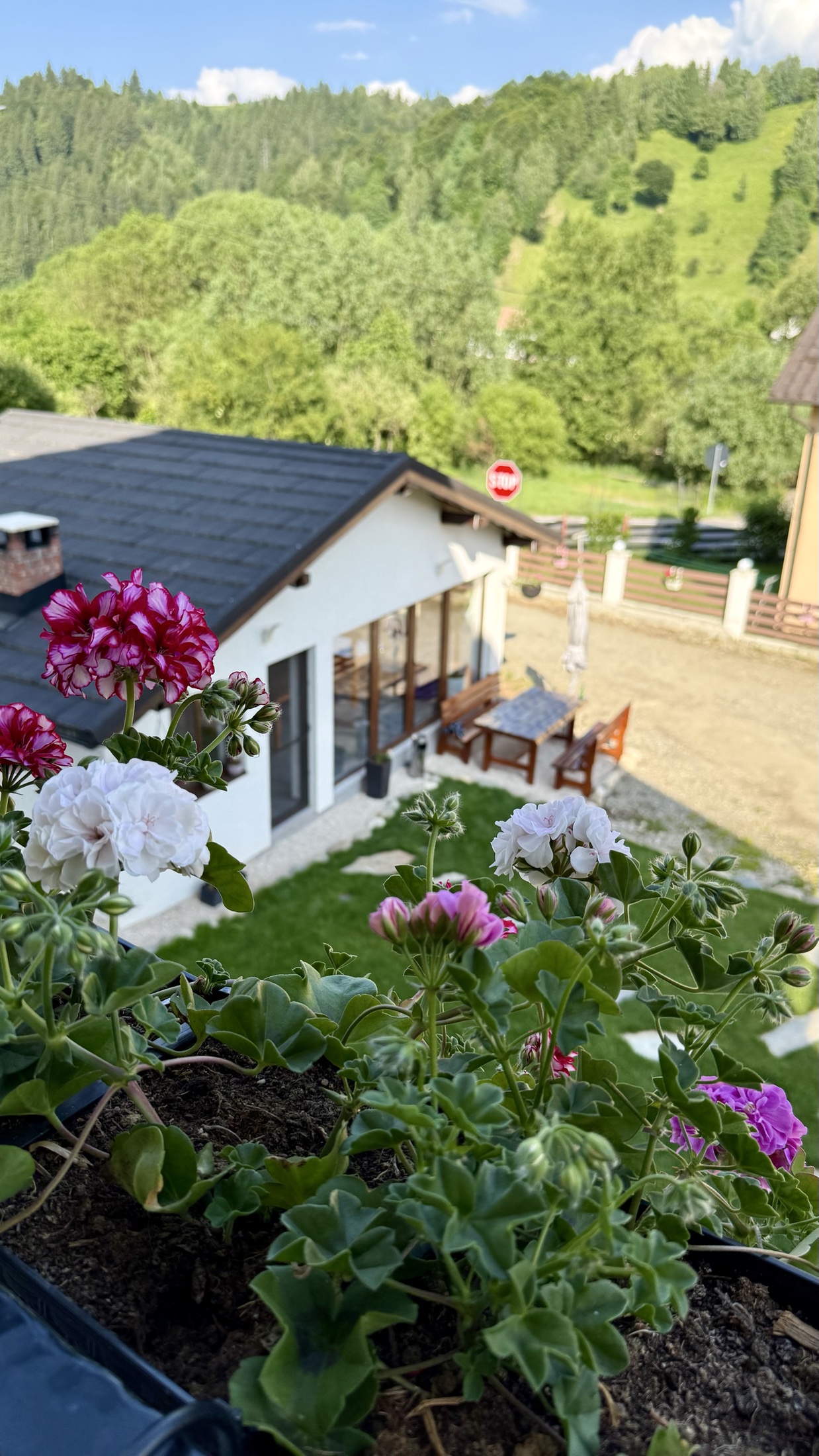 Flori la balcon cu priveliște spre curte și dealuri