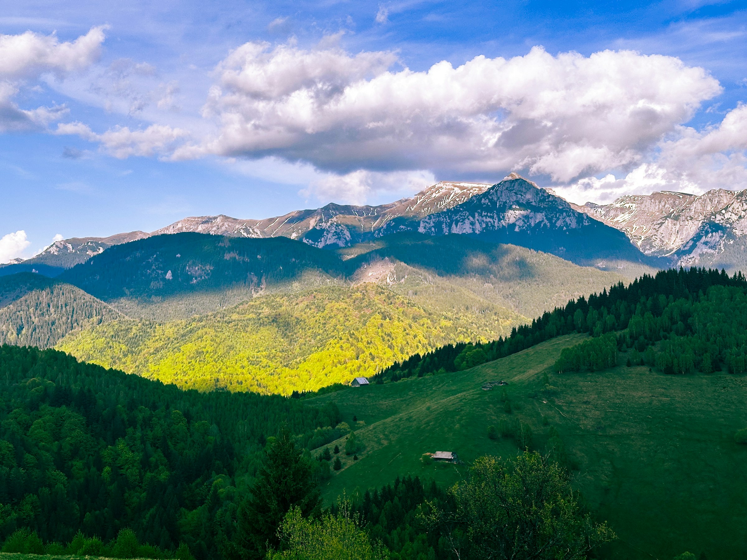 Peisaj montan luminos, cu păduri verzi și vârfuri cu zăpadă, în zona Moieciu